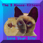 3 mouse kitten award