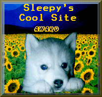 Sleepy's Cool Site Award
